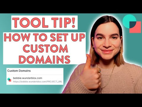 How To Set Up Custom Domains